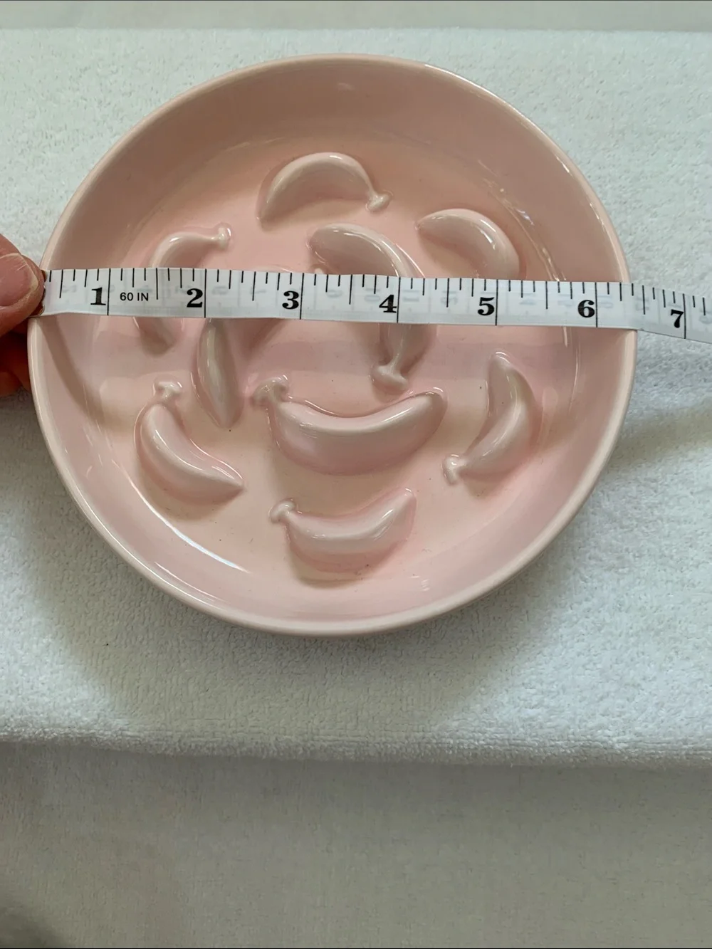 Pet Slow Feeder Bowl